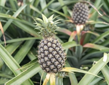 Screenshot 2026-01-13 at 22.49.54