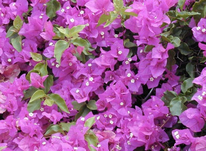 Screenshot 2026-01-13 at 17.20.39