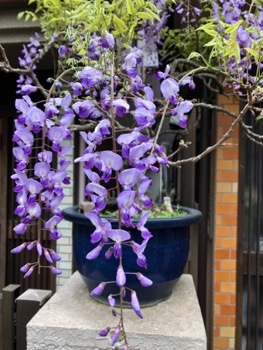 f3eb919edf0755e8377b7b6ced72658b04e7d2d6.33.9.2.3